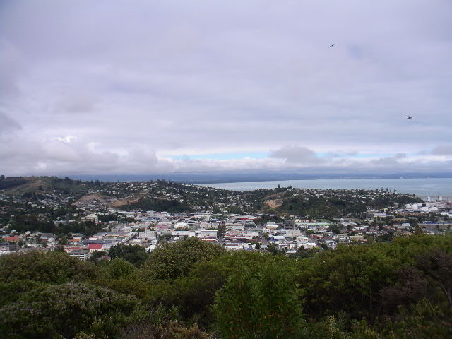 Nelson from 'the centre of new zealand'