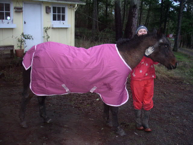 Horsey in her lovely new coat (before she trashed it!)